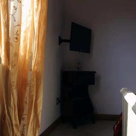 Belli Di *